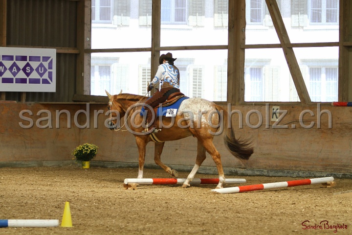 28-ApHC OT_014.jpg